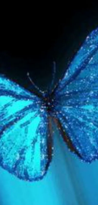 Shimmering blue butterfly wallpaper on a dark background.