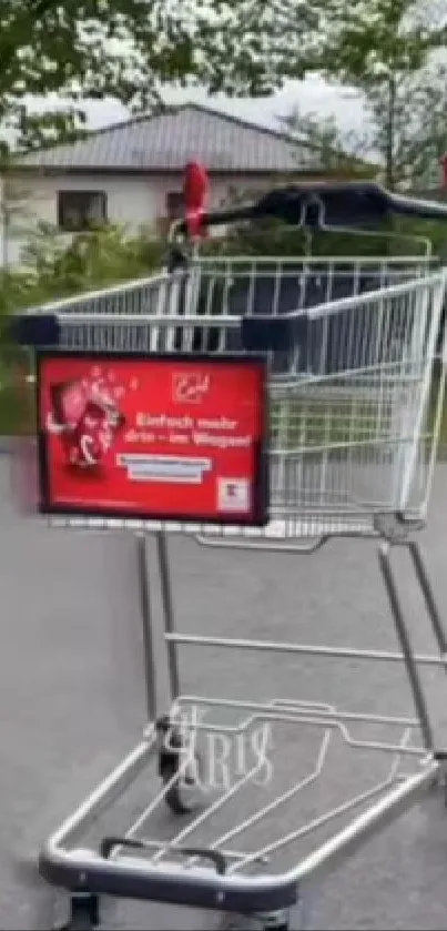 Shopping cart on suburban street with greenery in background.