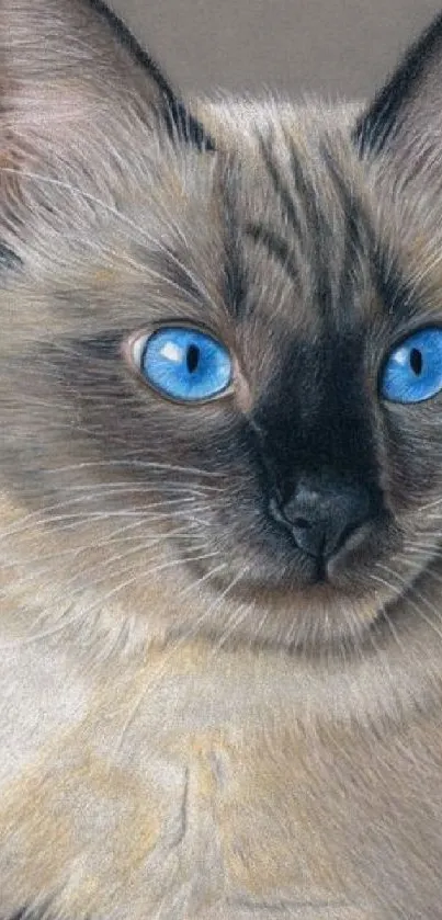 Siamese cat artwork wallpaper with bright blue eyes.