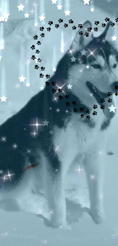 Siberian Husky surrounded by stars in a snowy scene.