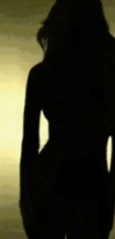 Silhouette of a person in warm light.