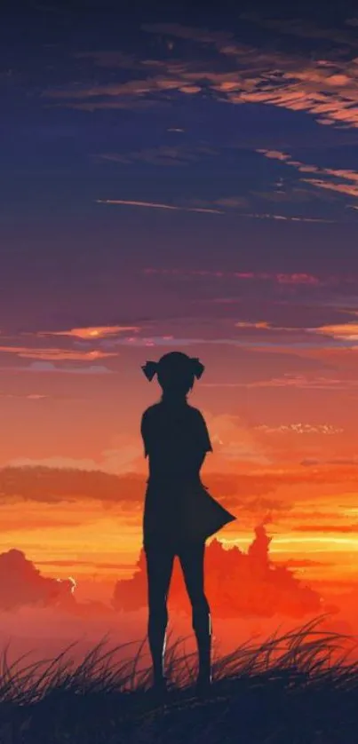 Silhouette of a person against a vibrant sunset sky in a field with grass.