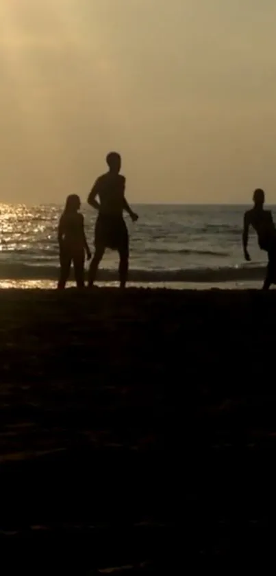 Silhouetted figures at sunset on a serene beach.