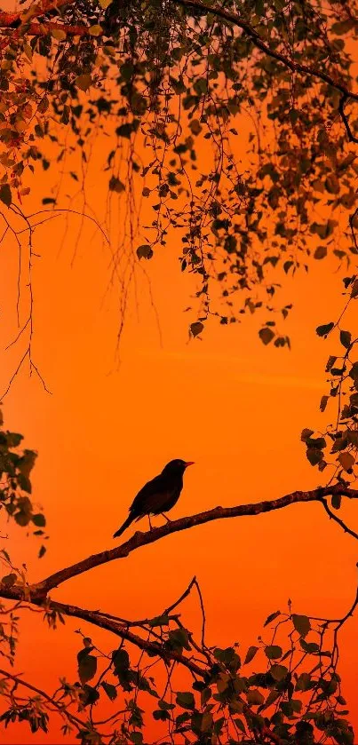 Silhouette of bird on branch with orange sunset background.