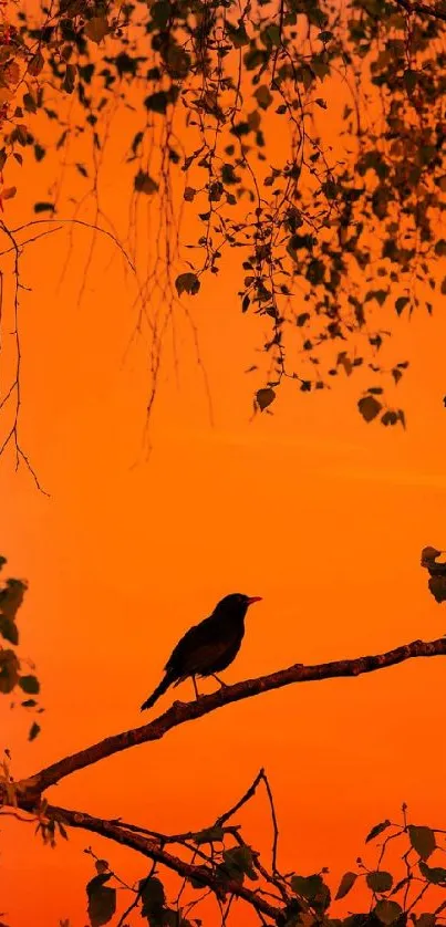 Silhouette of bird on branch against orange sunset.