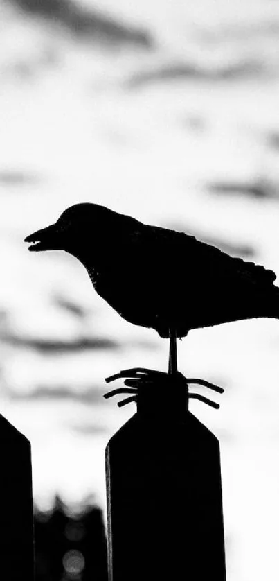 Silhouette of a bird atop a fence against a cloudy sky.