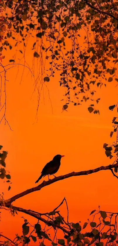 Silhouette of a bird perched against a vibrant orange sunset sky with trees.