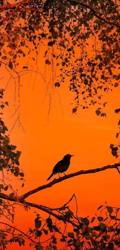 Bird silhouette against vibrant orange sunset with tree branches.