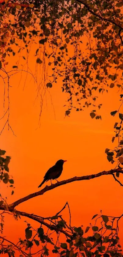 Silhouette of a bird on a branch with an orange sunset background.