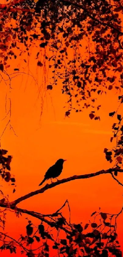 Silhouette of bird on branch at orange sunset.