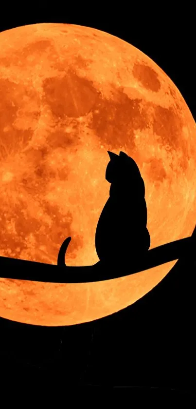 Cat silhouette against a vivid orange moon on a dark night.