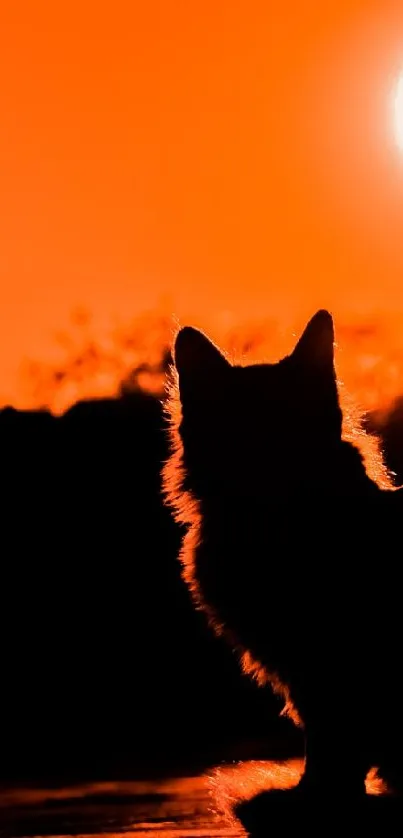 A cat's silhouette against an orange sunset sky.