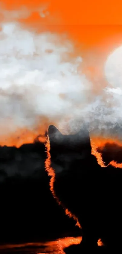 Silhouette of a cat against an orange sunset with clouds.