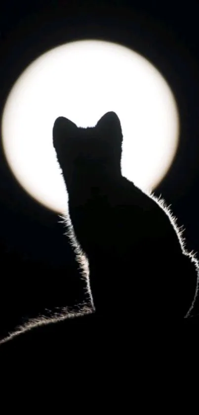 Silhouette of a cat against a full moon on a mobile wallpaper.