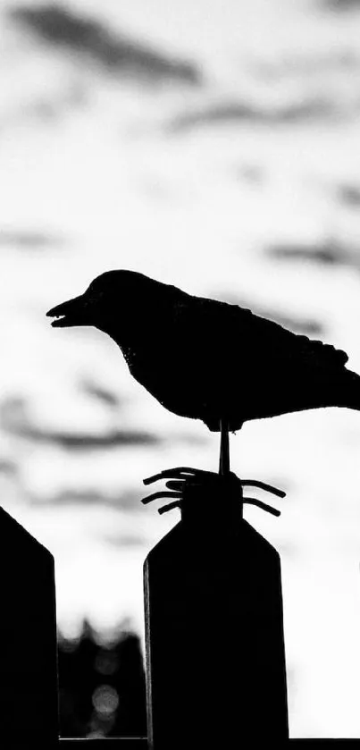 Silhouette of a crow perched on a fence against a cloudy sky.