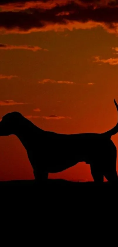 Dog silhouette against an orange sunset sky wallpaper.