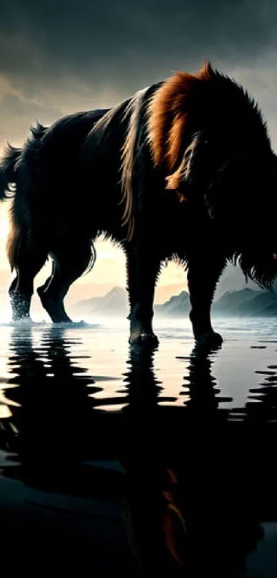 A dog's silhouette by a reflective lake at sunset, creating a serene scene.