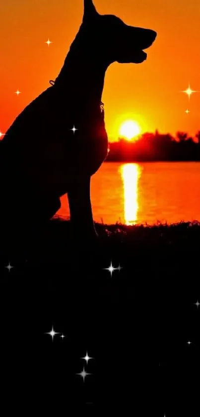 Silhouetted dog sitting by sunset lake.