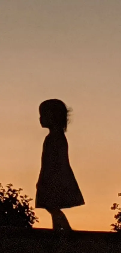 Silhouette of a girl at sunset with an orange sky and foliage.