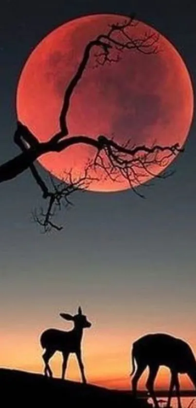 Red moon with silhouetted deer in scenic landscape.