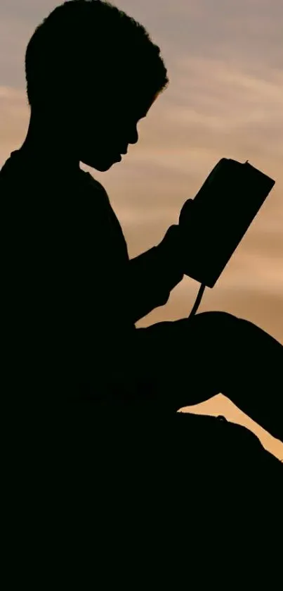 Silhouette of person reading against a vibrant sunset background.