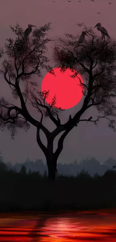 Tree silhouette with red sun setting in the background.