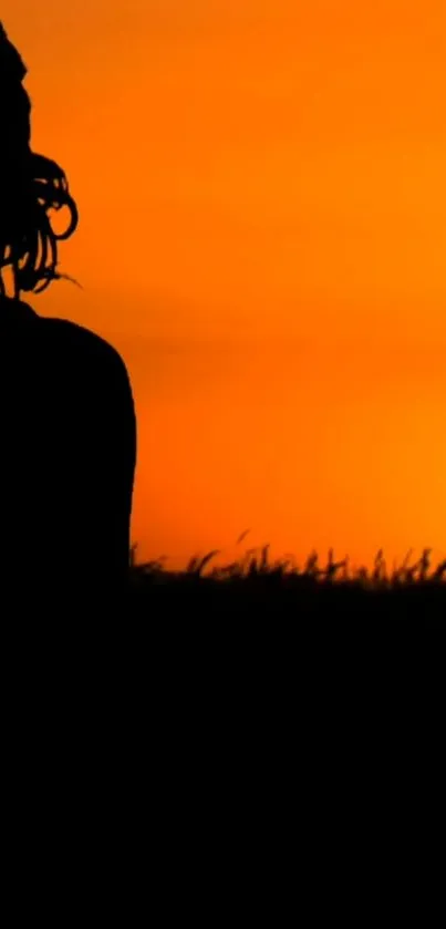 Silhouette of a person at sunset with an orange sky.