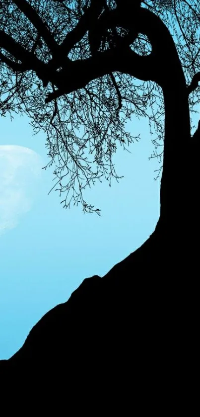 Silhouette of a tree against a moonlit sky with a bright moon.