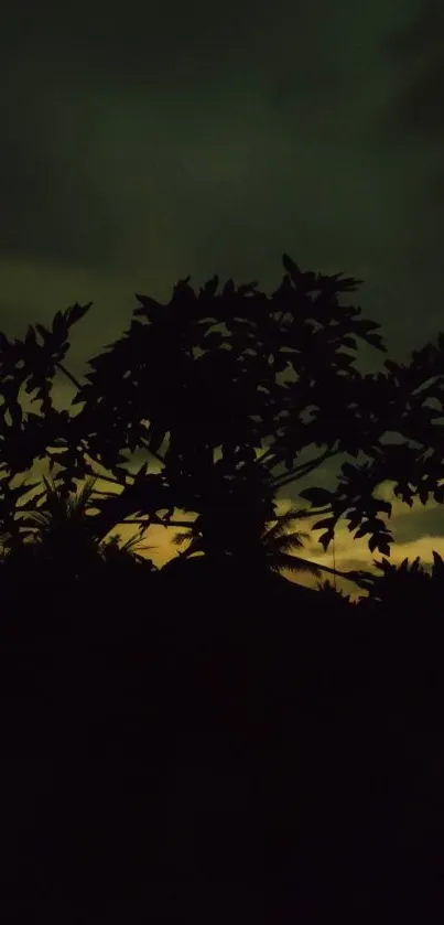 Silhouette of tree against a sunset sky with dark green tones and vibrant contrast.