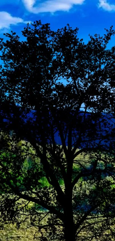 Silhouette of a tree against a vibrant blue sky landscape wallpaper.