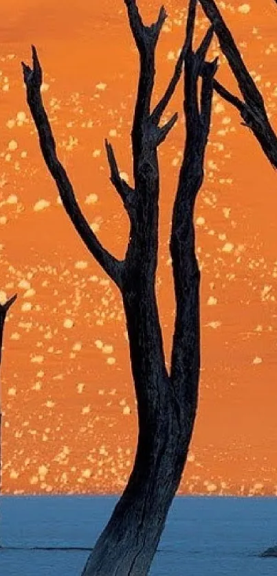 Silhouette trees on vibrant orange sunset wallpaper.