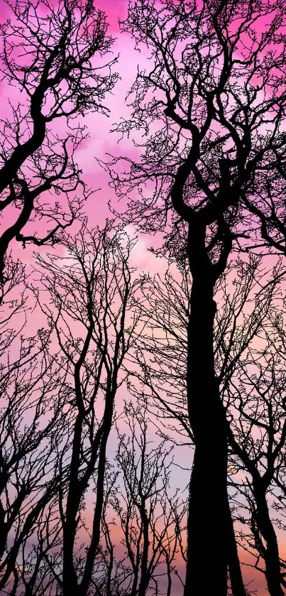 Silhouette of trees under a vibrant pink sunset sky.