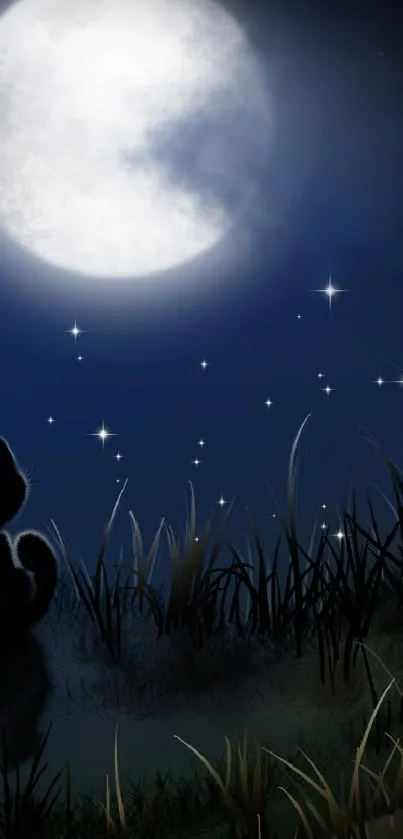 Silhouette gazing at moonlit sky with stars.