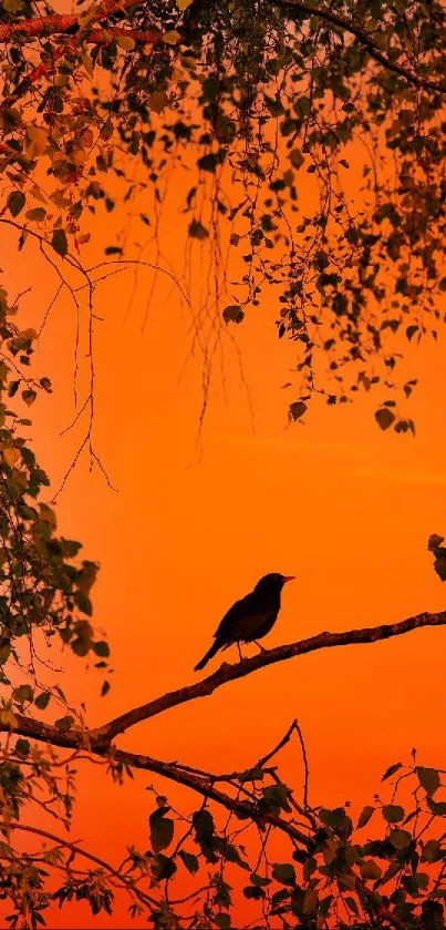 Bird silhouette on branch at orange sunset.