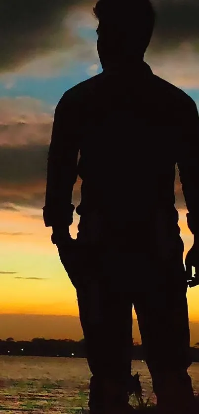 Silhouette of a person at sunset by the shoreline, creating a tranquil scene.