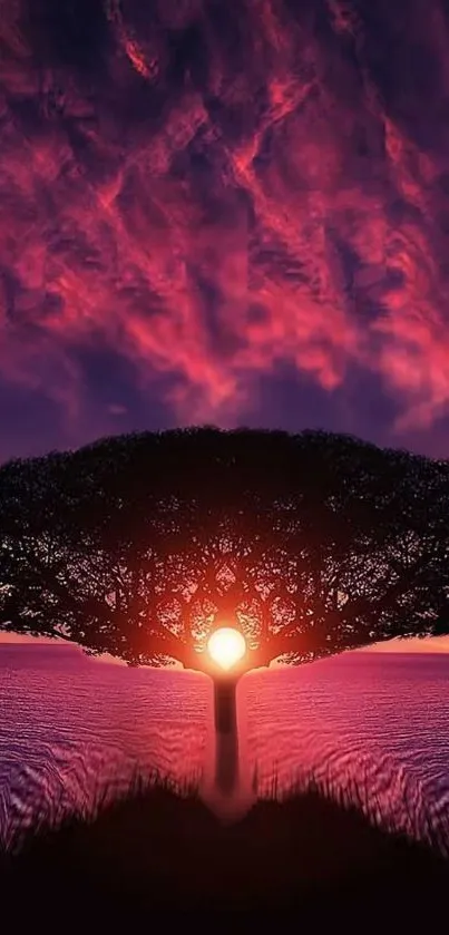 Silhouetted tree with sun at sunset in vibrant colors.