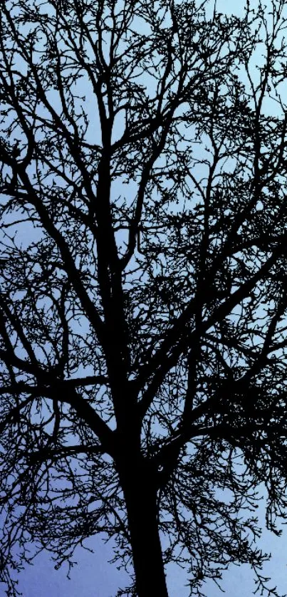 Silhouetted tree against a blue sky wallpaper.