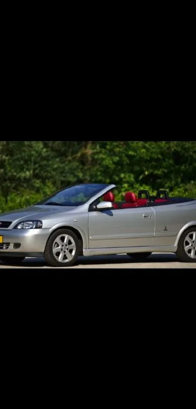 Silver convertible car against a lush green background.