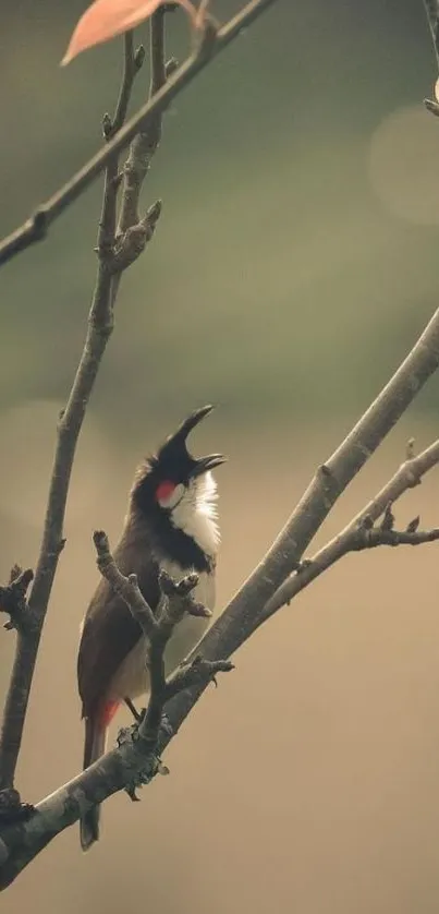 Bird perched on a branch in a peaceful, soft-focus setting.