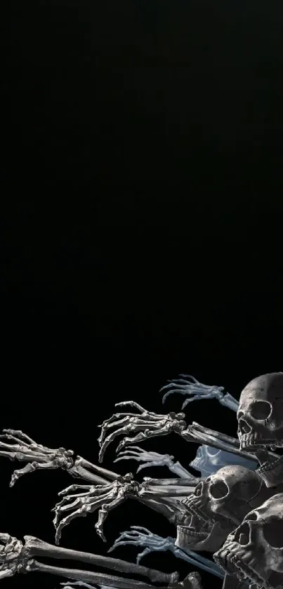 Skeleton artwork on a black background.