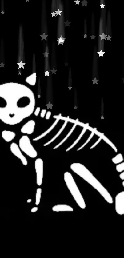 Skeleton cat image with stars on black background.