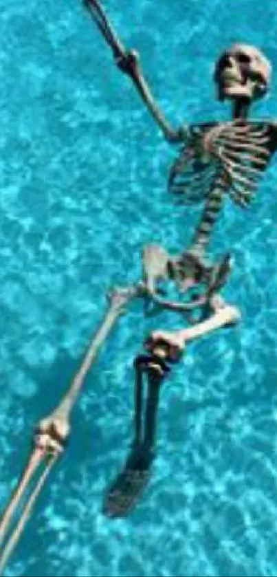 Skeleton floats in a clear blue pool with sunlight reflections.