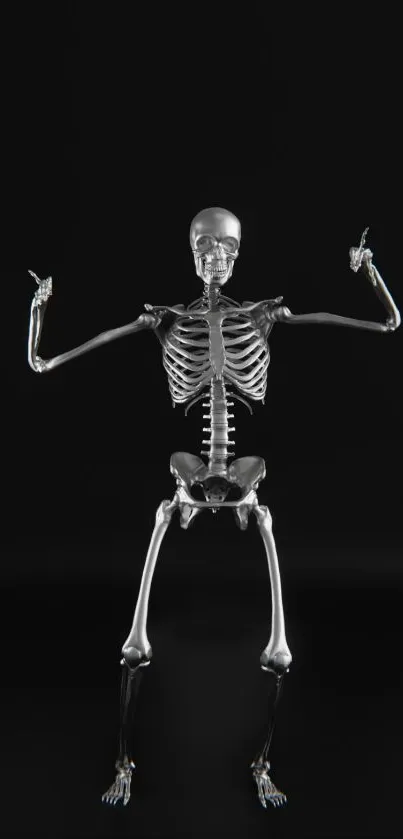 Detailed skeleton on a black background mobile wallpaper.