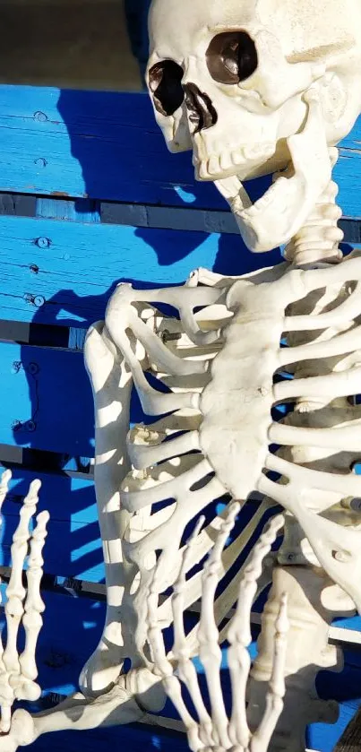 A skeleton sitting on a bright blue bench with sunlight casting shadows.