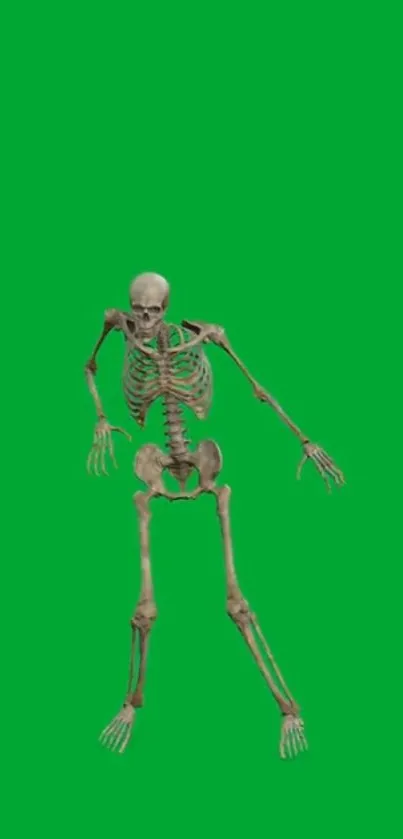 Artistic skeleton with green background, perfect for mobile wallpaper.