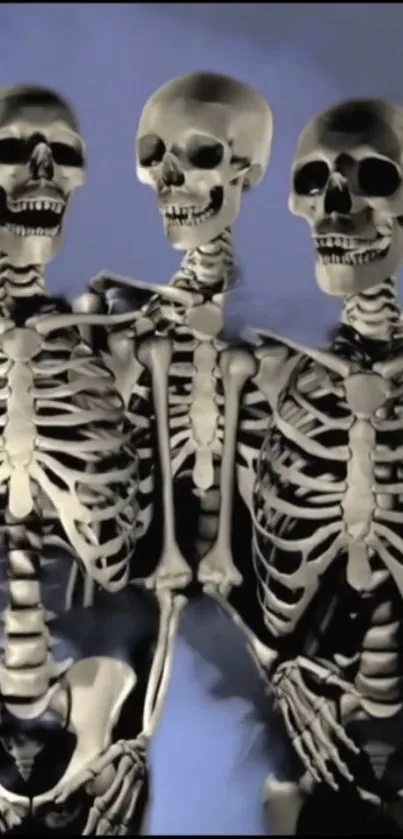 Artistic skeleton trio on dark wallpaper