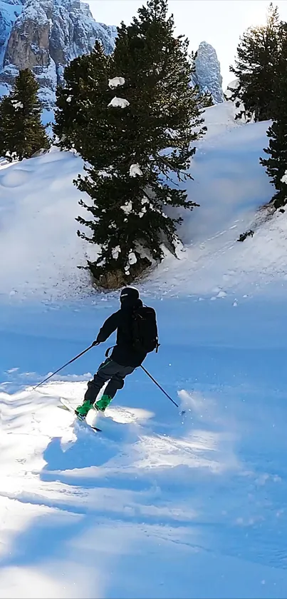 Skiing down a snowy mountain slope with pine trees.