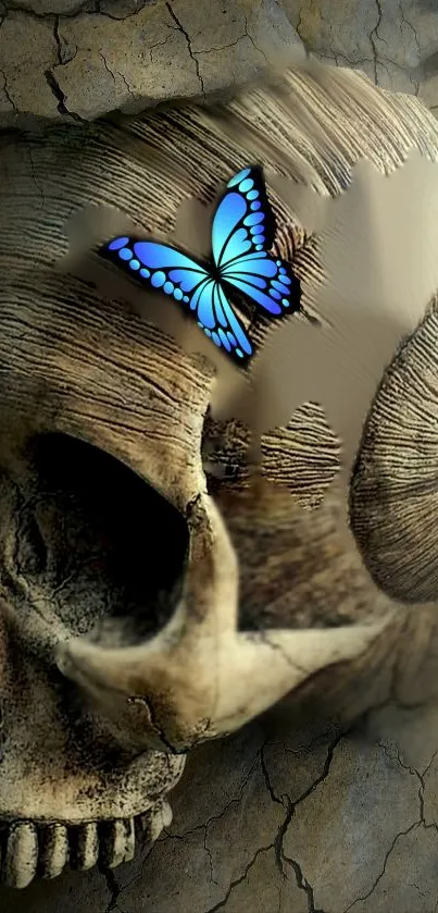 Wallpaper with a blue butterfly on a skull, conveying a blend of mystery and beauty.