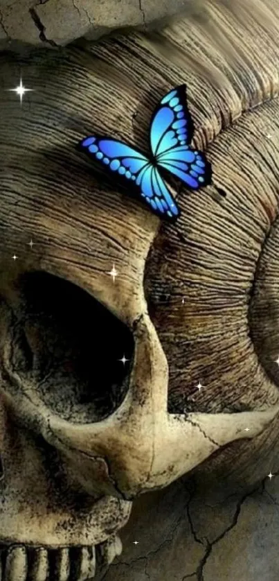 Skull with blue butterfly on a cracked brown background.