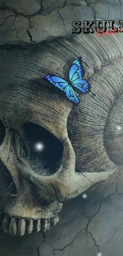 Wallpaper with skull and blue butterfly on a textured background.